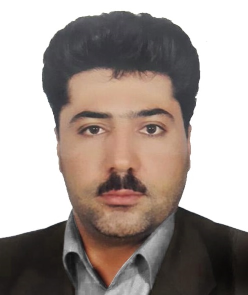 محسن ابراهیمی