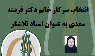 تقدیر از دکتر سعدی به عنوان استاد تلاشگر