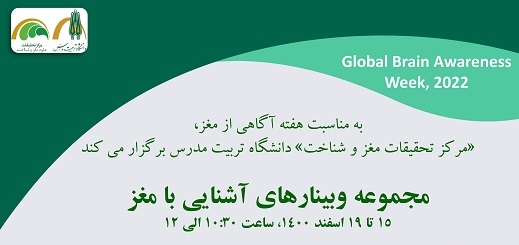 مجموعه وبینارهای آشنایی با مغز برگزار می شود