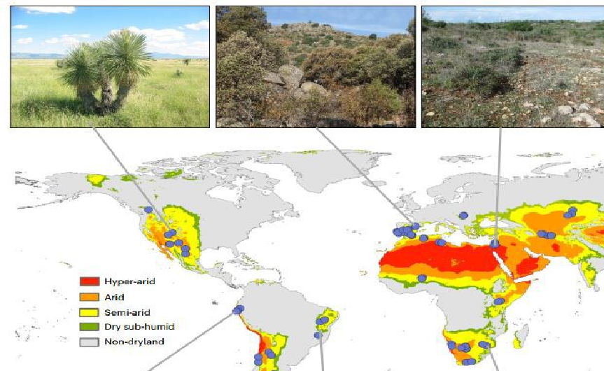 چاپ مقاله پروژه BIODESERT با مشارکت عضو هیأت علمی دانشگاه تربیت مدرس در مجله Nature plants