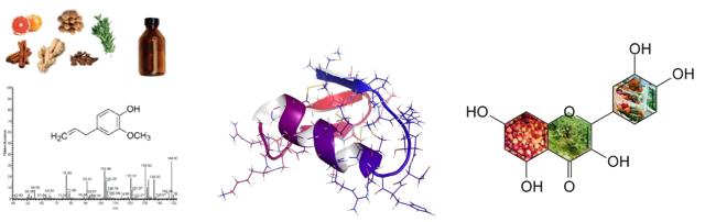 گروه بین رشته ای مواد زیست فعال
