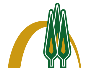 مرکز مطالعات مدیریت و توسعه فناوری